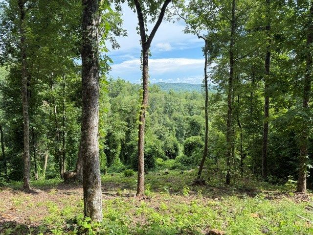 Lot 25 Bryson Creek, Murphy, NC 28906
