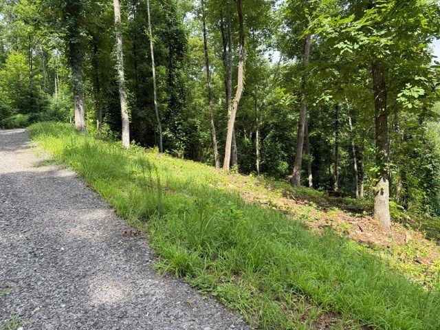 Lot 25 Bryson Creek, Murphy, NC 28906