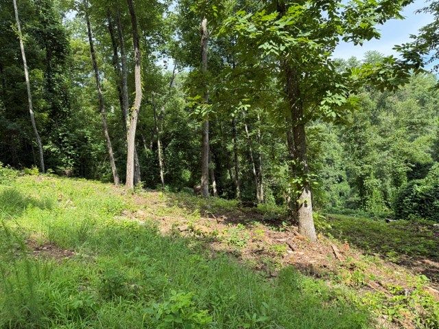 Lot 25 Bryson Creek, Murphy, NC 28906