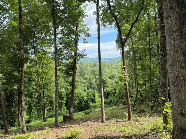 Lot 25 Bryson Creek, Murphy, NC 28906