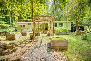 5384 Clinch Mountain Road, Eidson, TN 37731