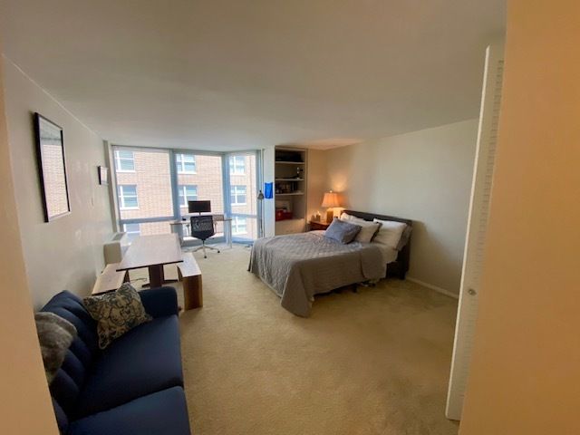 21 W Goethe Street 9C, Chicago, IL 60610