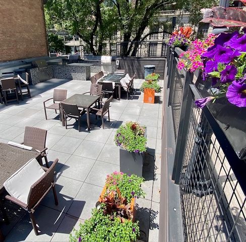 21 W Goethe Street 9C, Chicago, IL 60610