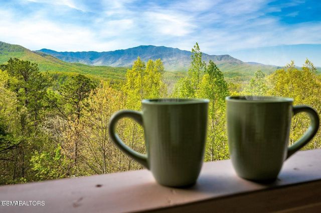859 Pinnacle Vista Road, Gatlinburg, TN 37738