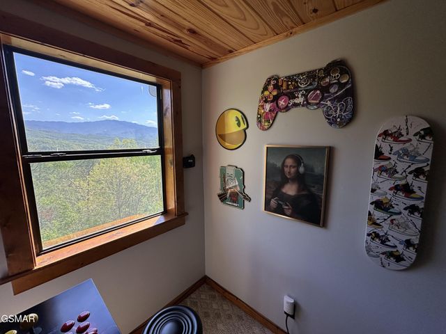 859 Pinnacle Vista Road, Gatlinburg, TN 37738