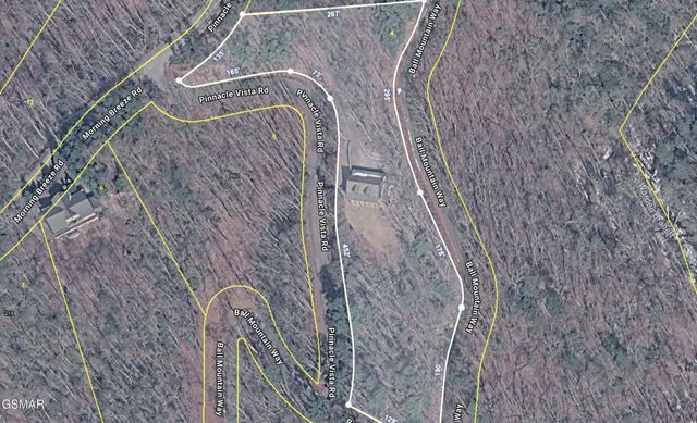 859 Pinnacle Vista Road, Gatlinburg, TN 37738