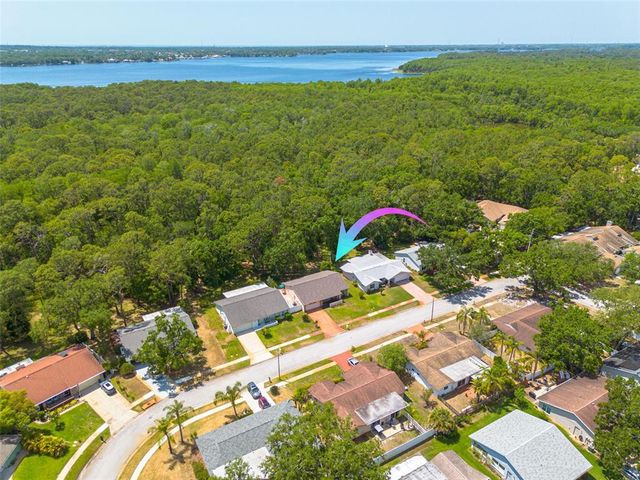 1144 LANYARD STREET, Palm Harbor, FL 34685