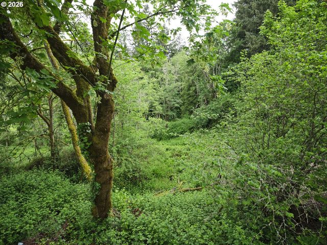 2205 Nw 138TH St, Vancouver, WA 98685