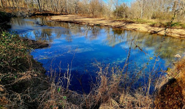 440 Deer Creek Rd, Linden, TN 37096