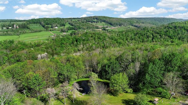 50 Hahn Road, Callicoon Center, NY 12724