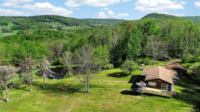 50 Hahn Road, Callicoon Center, NY 12724