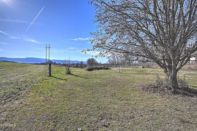 296 Davy Crockett Road, Limestone, TN 37681