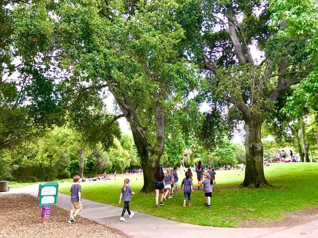 184 Cobblestone Dr, San Rafael, CA 94903