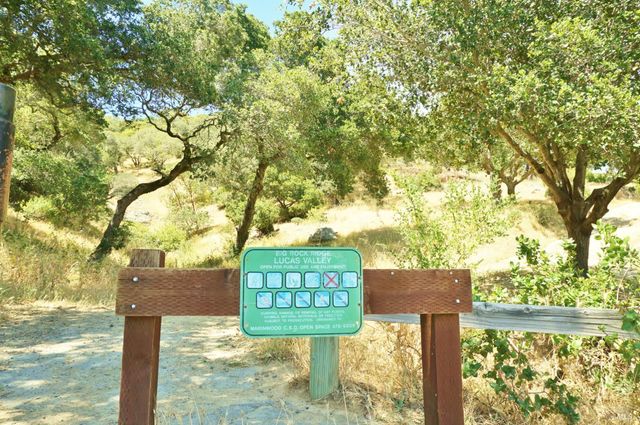 184 Cobblestone Dr, San Rafael, CA 94903