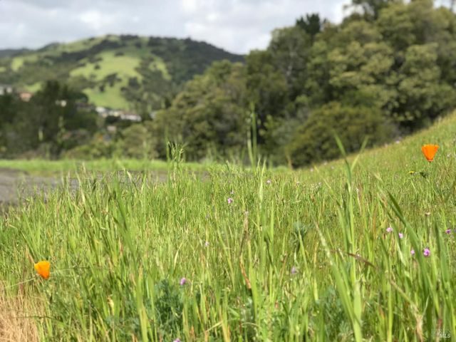 184 Cobblestone Dr, San Rafael, CA 94903