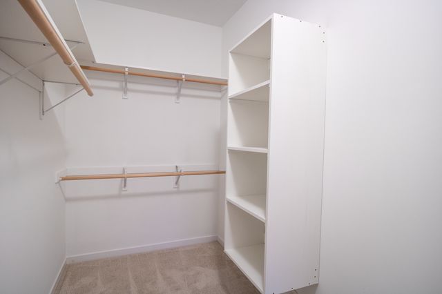 870 Bucknell Lane SE, Stewartville, MN 55976