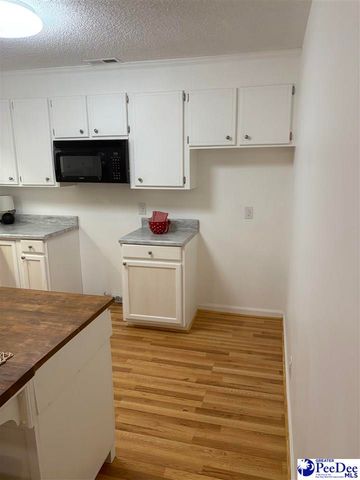 909 W Washington St, Hartsviile, SC 29550