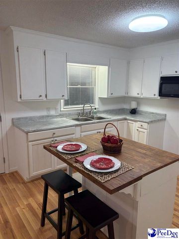 909 W Washington St, Hartsviile, SC 29550