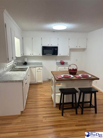 909 W Washington St, Hartsviile, SC 29550