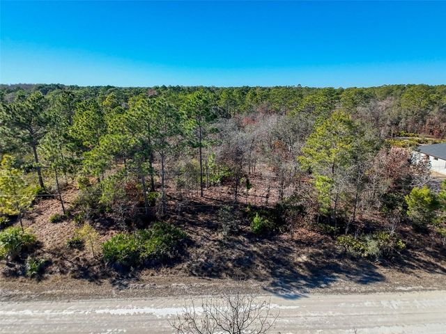 18079 RAMSEY ROAD, Weeki Wachee, FL 34614