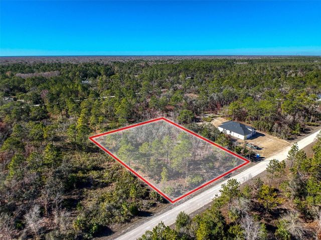 18079 RAMSEY ROAD, Weeki Wachee, FL 34614