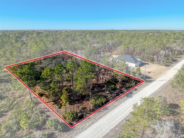 18079 RAMSEY ROAD, Weeki Wachee, FL 34614