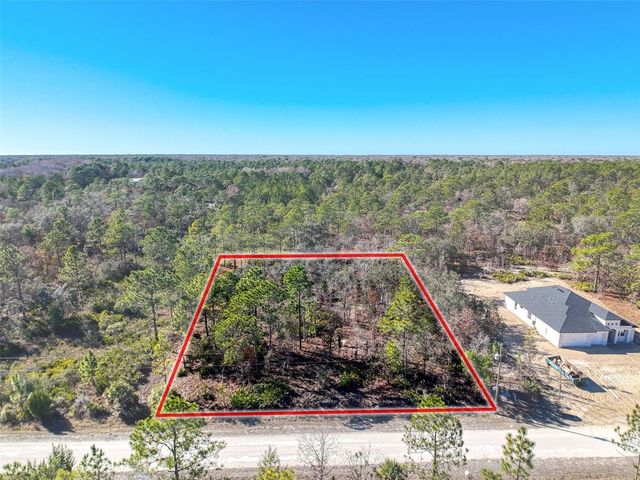 18079 RAMSEY ROAD, Weeki Wachee, FL 34614