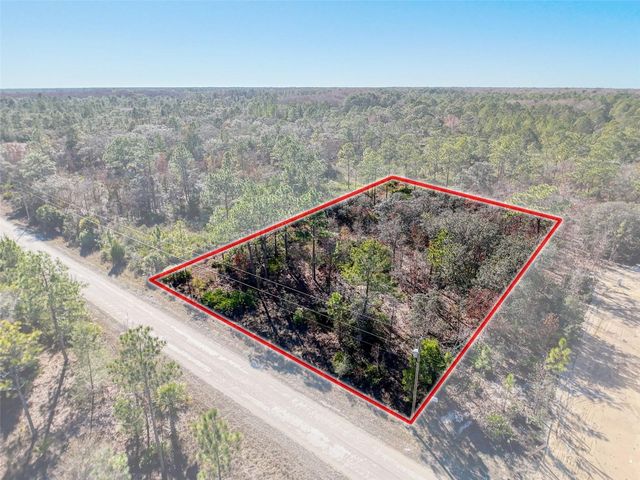 18079 RAMSEY ROAD, Weeki Wachee, FL 34614