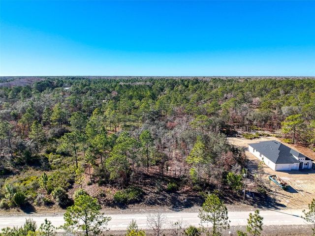 18079 RAMSEY ROAD, Weeki Wachee, FL 34614