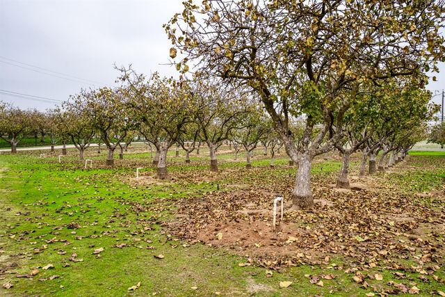 14160 Road 36, Madera, CA 93636