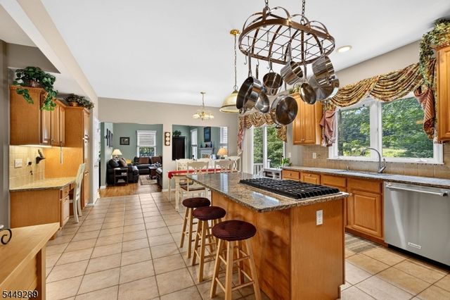 1 Stearns Ter, Denville Twp., NJ 07834