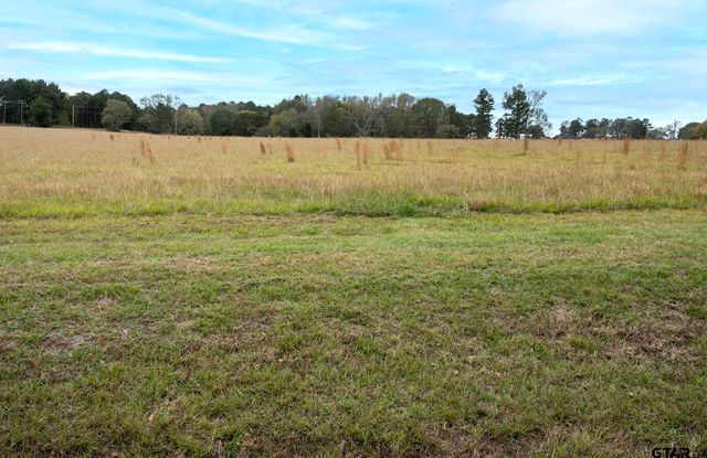 Lt 1 TBD FM 1892, Frankston, TX 75763
