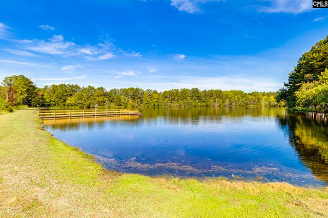 327 Autumn Pond Drive, Blythewood, SC 29016