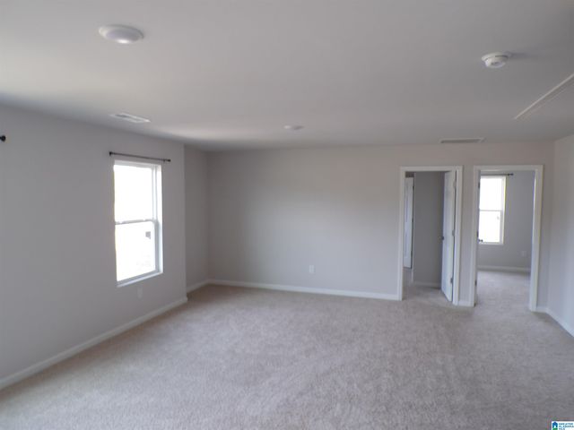 61 BUCKHORN LANE, Lincoln, AL 35096