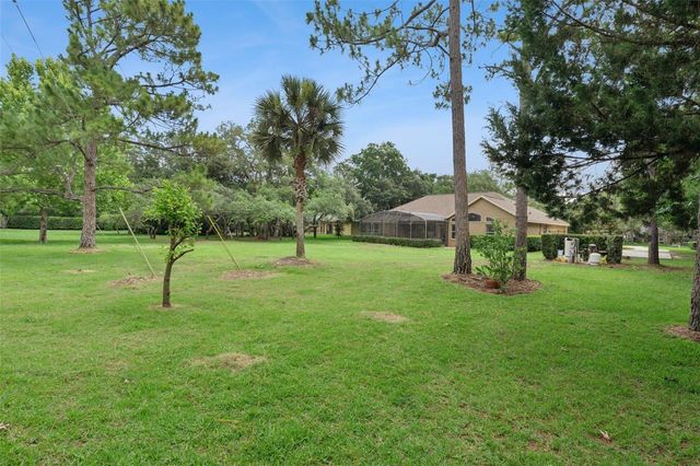 796 MILLS ESTATE PLACE, Chuluota, FL 32766