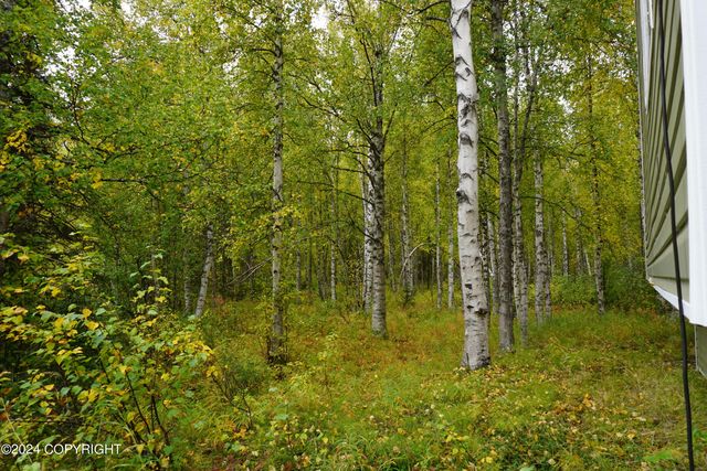 44725 S Bernadette Street, Talkeetna, AK 99676