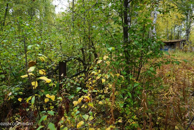 44725 S Bernadette Street, Talkeetna, AK 99676