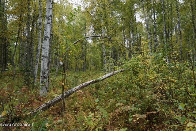 44725 S Bernadette Street, Talkeetna, AK 99676