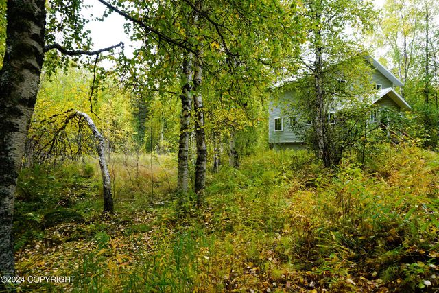 44725 S Bernadette Street, Talkeetna, AK 99676
