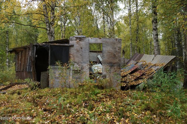 44725 S Bernadette Street, Talkeetna, AK 99676