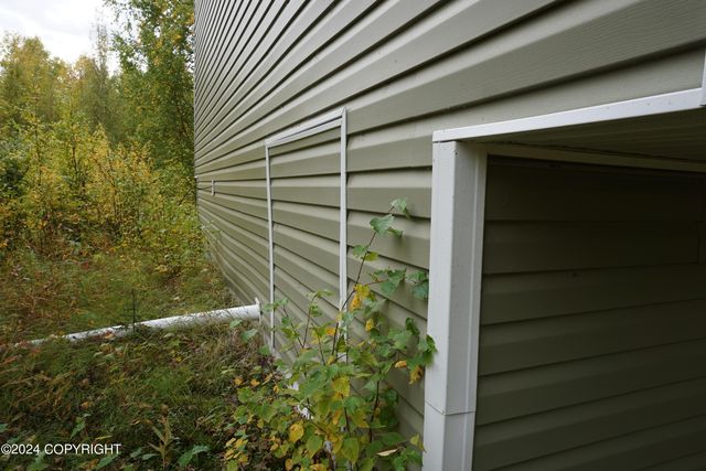 44725 S Bernadette Street, Talkeetna, AK 99676