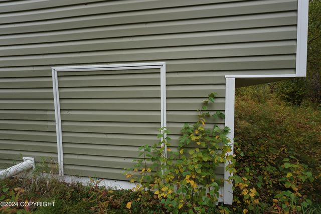 44725 S Bernadette Street, Talkeetna, AK 99676