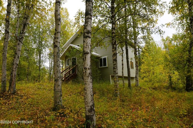 44725 S Bernadette Street, Talkeetna, AK 99676