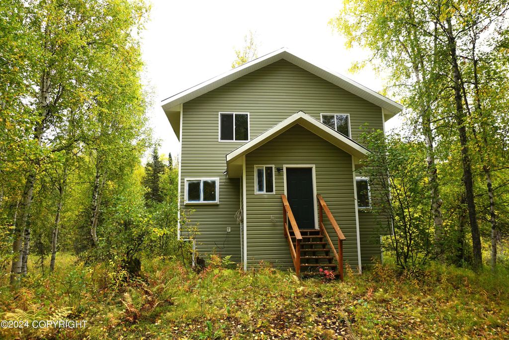 44725 S Bernadette Street, Talkeetna, AK 99676