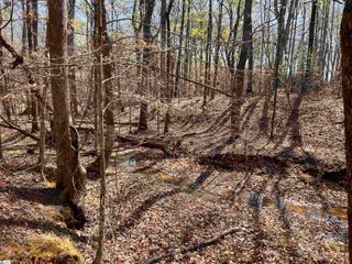 00 Bramlett Road, Laurens, SC 29360