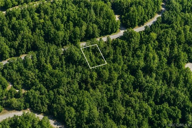 905 E Abend Drive, Dunnellon, FL 34434