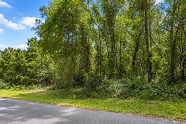 905 E Abend Drive, Dunnellon, FL 34434