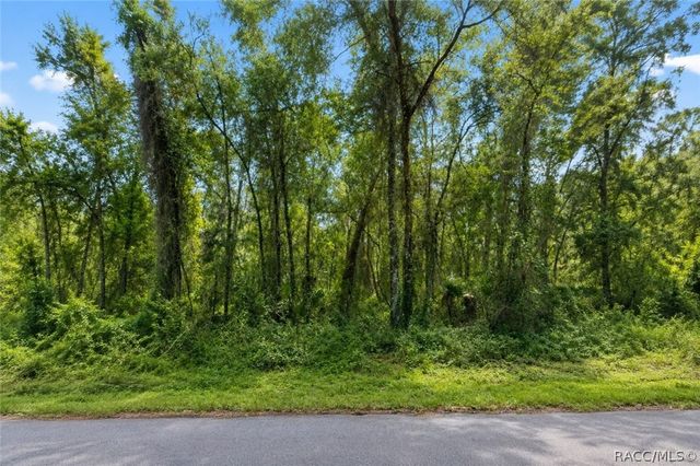 905 E Abend Drive, Dunnellon, FL 34434