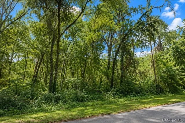 905 E Abend Drive, Dunnellon, FL 34434