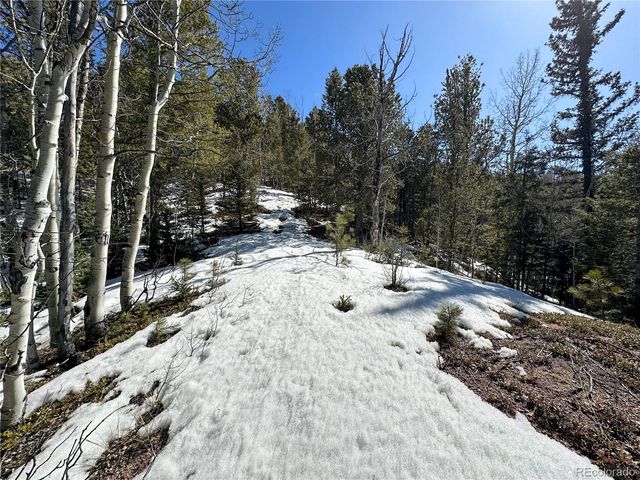 1601 May Queen Drive, Cripple Creek, CO 80813